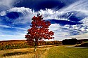 _MG_1742 canaan valley state park-Fall color with spectacular clouds.jpg