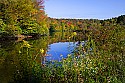 _MG_1961 north fork of the blackwater river-thomas wv.jpg