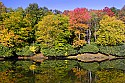 _MG_1969 north fork of the blackwater river-thomas wv.jpg