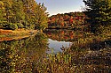 _MG_1987  fall color along the blackwater river near thoma-wv.jpg