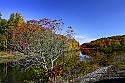 _MG_2038 north fork of the blackwater river-thomas wv.jpg