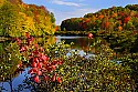 _MG_2046 north fork of the blackwater river-thomas wv.jpg