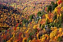 _MG_2051 blackwater falls state park-blackwater river canyon fall color.jpg