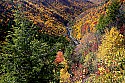 _MG_2124 blackwater falls state park-blackwater canyon-fall color.jpg