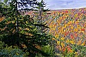 _MG_2183 blackwater falls state park overlooks-blackwater river canyon.jpg