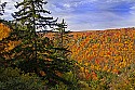 _MG_2184 blackwater falls state park-fall color-balckwater canyon overlook.jpg