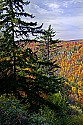 _MG_2190 blackwater falls state park-overlook-fall color.jpg