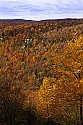 _MG_2224 blackwater falls state park-wv-and backbone mountain with wind turbines in the background.jpg