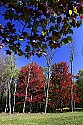 _MG_2247 black water falls state park.jpg