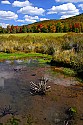 _MG_2386 springs mark the beginning of the blackwater river in canaan valley wildlife area.jpg