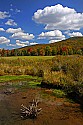 _MG_2397 springs mark the beginning of the blackwater river in canaan valley wildlife area.jpg