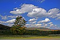 _MG_2433 canaan valley.jpg