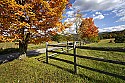 _MG_2482 red creek road - near canaan valley state park.jpg