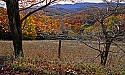 _MG_2556 route 33 fall  color.jpg