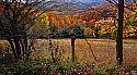 _MG_2559 route 33 fall color.jpg