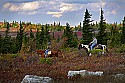 _MG_2644 horseback riders on Dolly Sods-fall color.jpg