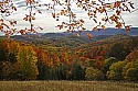 _MG_2646 wv route 33 overlook fall.jpg