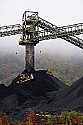 _MG_2716 caterpillars on a pile of coal WV.jpg