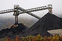 _MG_2717 caterpillars or bulldozers move coal piles at a processing facility.jpg