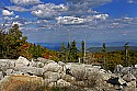 _MG_2730 Dolly Sods-fall color.jpg