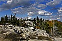 _MG_2733 Dolly Sods-fall color.jpg