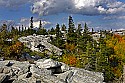 _MG_2737 Dolly Sods-fall color.jpg