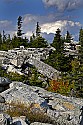 _MG_2747 Dolly Sods-fall color.jpg