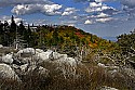 _MG_2762 Dolly Sods-fall color.jpg