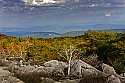 _MG_2765 Dolly Sods-fall color.jpg