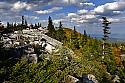 _MG_2786 tom hindman at bear rocks-Dolly Sods-fall color.jpg