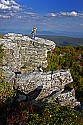 _MG_2799 steve shaluta at Dolly Sods-fall color.jpg