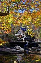 _MG_3033 glade creek grist mill-babcock state park wv.jpg