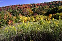 _MG_3500 highland scenic highway.jpg