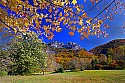 _MG_3718 seneca rocks-seneca rocks national recreation area in fall.jpg