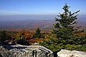 _MG_3881 spruce knob overlook.jpg