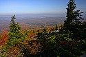 _MG_3886 spruce knob overlook.jpg