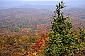 _MG_3891 spruce knob overlook.jpg