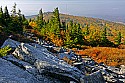 _MG_3900  spruce knob overlook.jpg