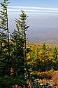 _MG_3909 spruce knob overlook.jpg