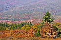 _MG_3910 spruce knob overlook.jpg