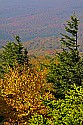 _MG_3918 spruce knob overlook.jpg