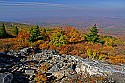 _MG_3925 spruce knob overlook.jpg