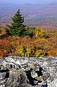 _MG_3926 spruce knob overlook.jpg