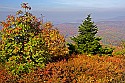 _MG_3931 spruce knob overlook.jpg