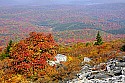 _MG_3934 spruce knob overlook.jpg