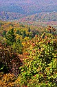 _MG_3946 spruce knob overlook.jpg