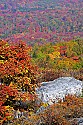 _MG_3950 spruce knob overlook.jpg