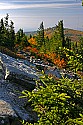 _MG_3973 spruce knob overlook.jpg