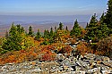 _MG_4064 spruce knob national recreation area overlook.jpg