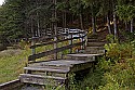 _MG_4422 Spruce Knob Lake boardwalk-fall.jpg